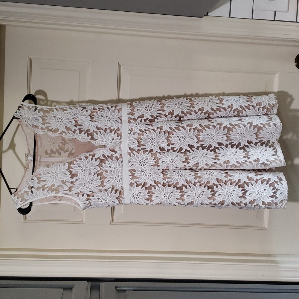 Adrianna Papell Lace  Dress